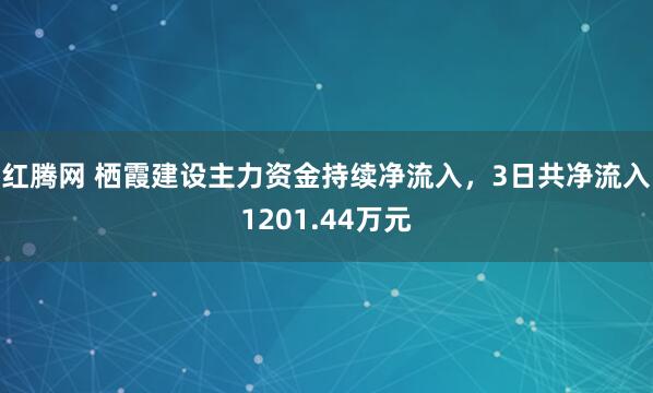 红腾网 栖霞建设主力资金持续净流入，3日共净流入1201.44万元