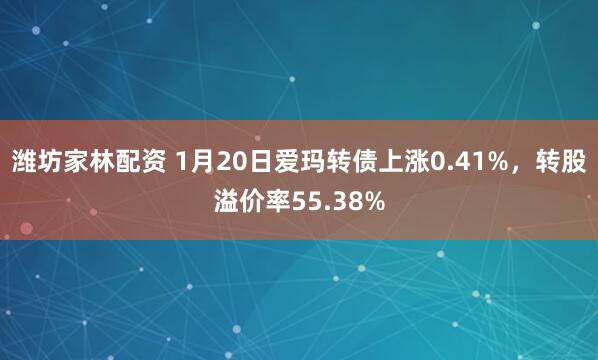 潍坊家林配资 1月20日爱玛转债上涨0.41%，转股溢价率55.38%